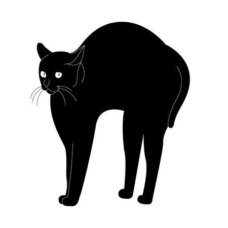 vector illustration:  black cat arch its back on the white backgroundのイラスト素材