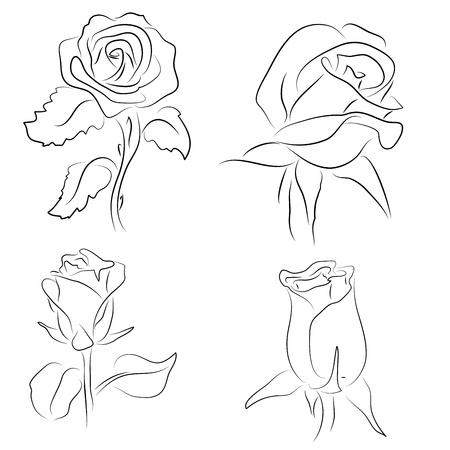 Set of four sketched of roses on white backgroundのイラスト素材