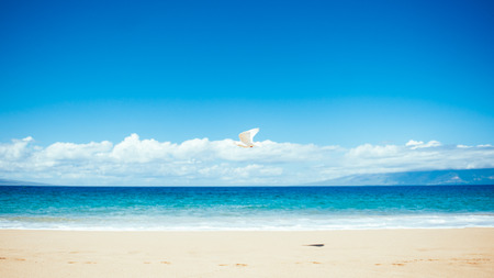 beach and blue skyの写真素材