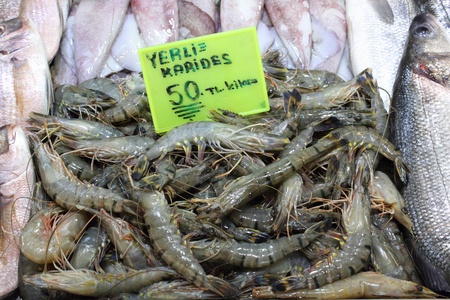 Fresh fish and prawns for sale at a popular fish market in Fethiye , Turkey, june 2013のeditorial素材
