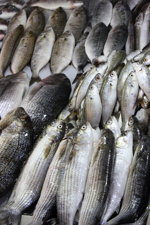 Fish for sale at a popular fish market in Fethiye , Turkey, june 2013のeditorial素材