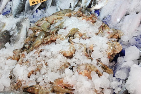 Prawns for sale at a popular fish market in Fethiye , Turkey, june 2013のeditorial素材