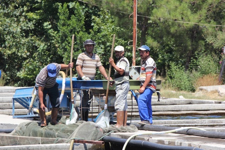 TURKEY,JULY 2013 - Men working on a trout farm in turkeyのeditorial素材