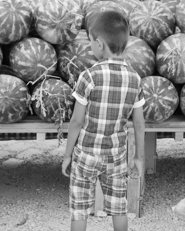 A young turkish boy looking at watermelons in front of him のeditorial素材