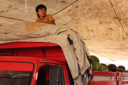 CALIS,TURKEY,26TH JULY 2015: Market traders unloading melons from a truck during early morning for a fresh produce market in calis in turkey,26th july 2015のeditorial素材
