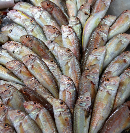 Fish for sale at a popular fish market