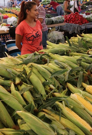 CALIS, TURKEY - 6TH AUGUST, 2017:A young turkish girl working at a fresh fruit and vegetable produce market in Calis, Turkey, 6th august 2017のeditorial素材