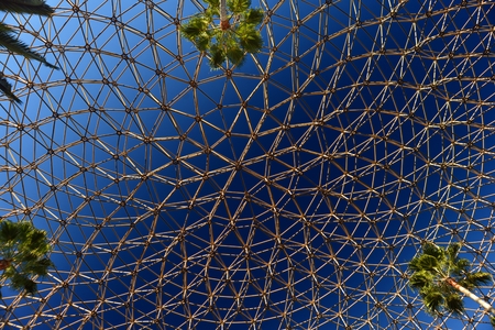 palm trees inside a geodesic domeのeditorial素材