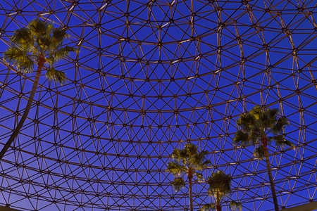 palm trees inside a geodesic dome
