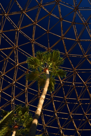 Palm tree under a geodesic dome in Los Angelesのeditorial素材