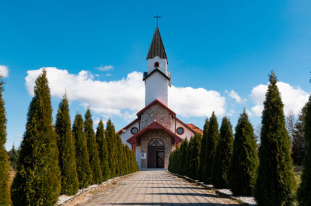 interiors and details in catholic church alley with cypress leading to the churchの写真素材