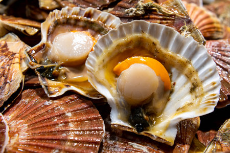 Scallops mussels St. Jacob laid out on the table with ice on the fish marketの写真素材
