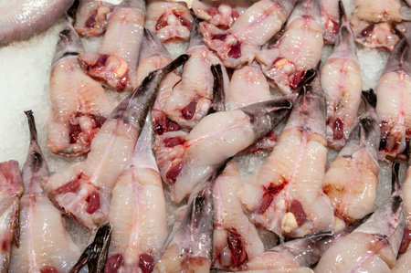 fresh sea food laid out on the table with ice on fish marketの写真素材