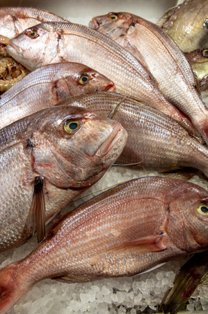 fresh fish laid out on the table with ice on the fish market