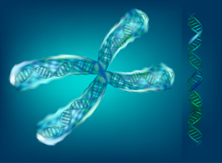 3D illustration of chromosomes. Genetics.のイラスト素材