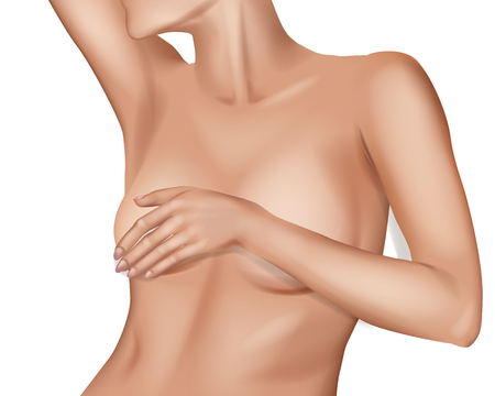 Female Breast. Detailed realistic illustration on a white background. Plastic correction and surgery concept.のイラスト素材