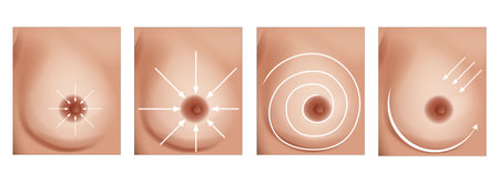 Traditional breast massage for treatment of clogged milk duct. Lactation Massage. Breastfeeding Medicineのイラスト素材