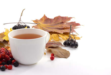White mug of tea on a white background with autumn leavesの写真素材