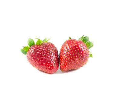Two strawberry isolateの写真素材