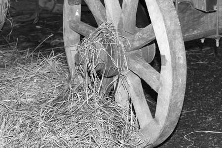 Old rustic wagon wheel beside the manger in black and whiteの写真素材