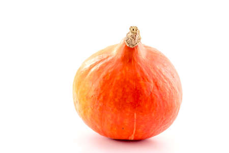 Orange ripe pumpkin on a white backgroundの写真素材