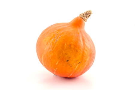 Orange ripe pumpkin on a white backgroundの写真素材