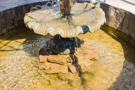 Water fountain and the cup-shaped flowerの写真素材