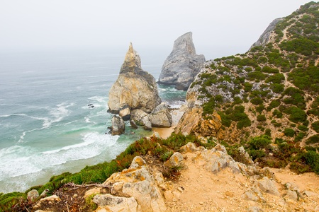 seascape with a rock, ocean and grass coastlineの写真素材