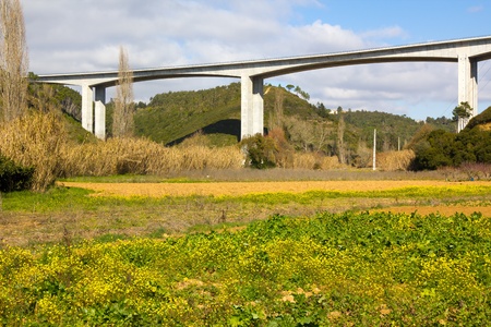 Elevated highway viaduct over a grassy fieldの写真素材
