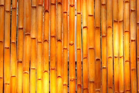 Bamboo wallの写真素材