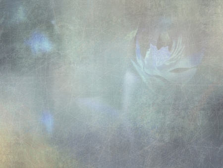 Romantic abstract background - grunge style - floral designの写真素材
