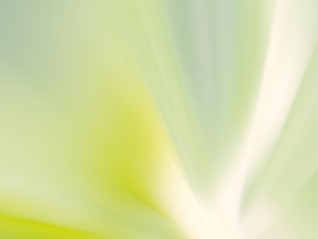Abstract soft blurred flower backgroundの写真素材