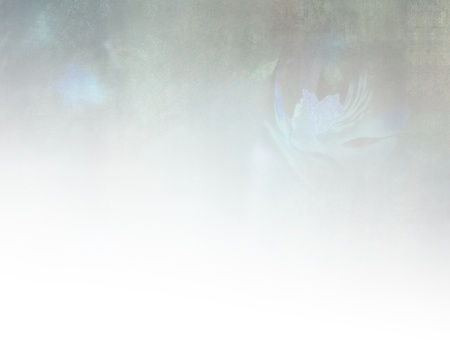 Floral background - slate blue grunge designの写真素材