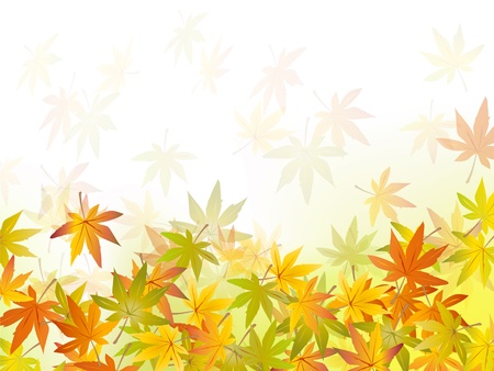 Fall background - autumn leaf - vector illustrationのイラスト素材