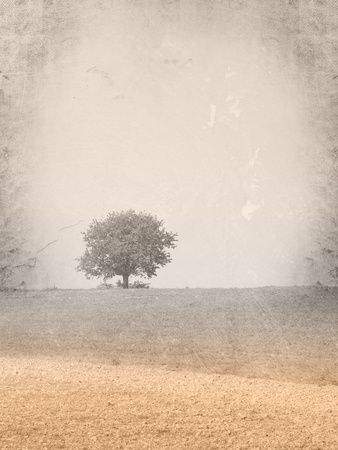 Vintage landscape - grunge field with single treeの写真素材