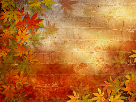 Autumn background with fall leaves frameの写真素材