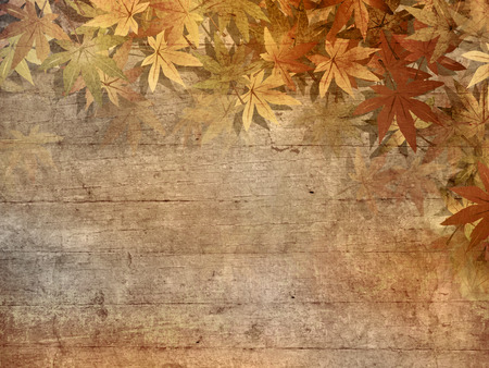 Autumn background - fall leavesの写真素材