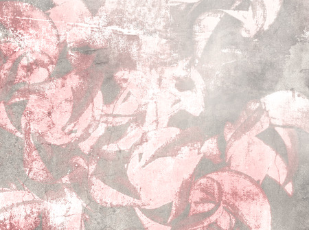 Soft floral pattern - abstract vintage flower backgroundの写真素材
