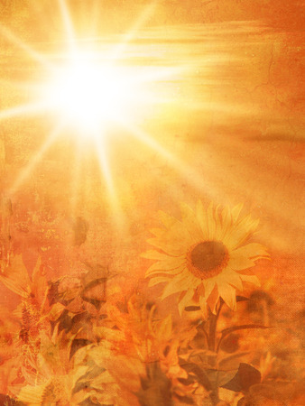 Natural autumn background with sunflower field at sunset in soft vintage style - late summer conceptの写真素材