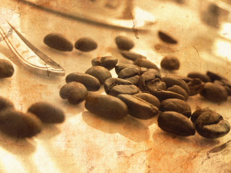 Grunge coffee beans scattered on table with part of a spoon - vintage breakfast concept with morning lightの写真素材