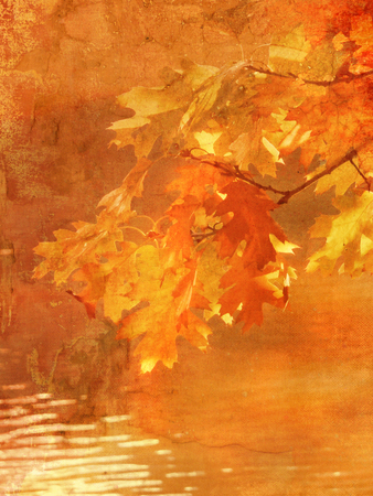 Nature fall background with leaves in grunge painting style - peaceful dreamy autumn landscape sceneryの写真素材