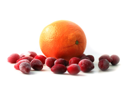 orange dogwoodの写真素材