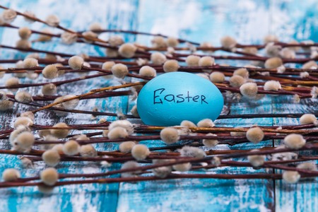Happy Easter background, eggs, pussy willow bunch