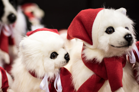 christmas dogsの写真素材