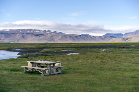 Icelandic sheep hiding by wooden bench.の写真素材