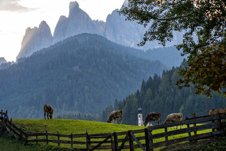 Wonderful Sunny Landscape of Dolomite Alps. St Johann Church, Santa Maddalena, Val Di Funes, Dolomites, Italy. Fairy velley in Dolomites mountains under sunlit. Amazing nature Background.の写真素材