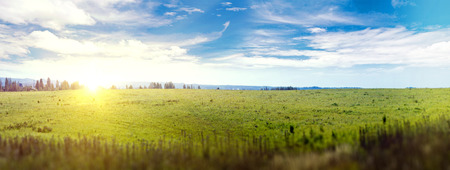 Sunrise field panorama. の写真素材
