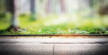 Ecology background. Clear wild forest summer panoramaの写真素材