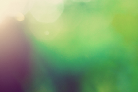 Blur bokeh macro background. Green park landscapeの写真素材
