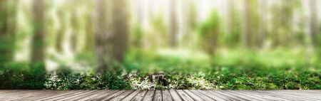 Beautiful wild forest. Summer landscape clear panoramaの写真素材
